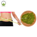 Moringa oleifera Powder Moringa oleifera Extract